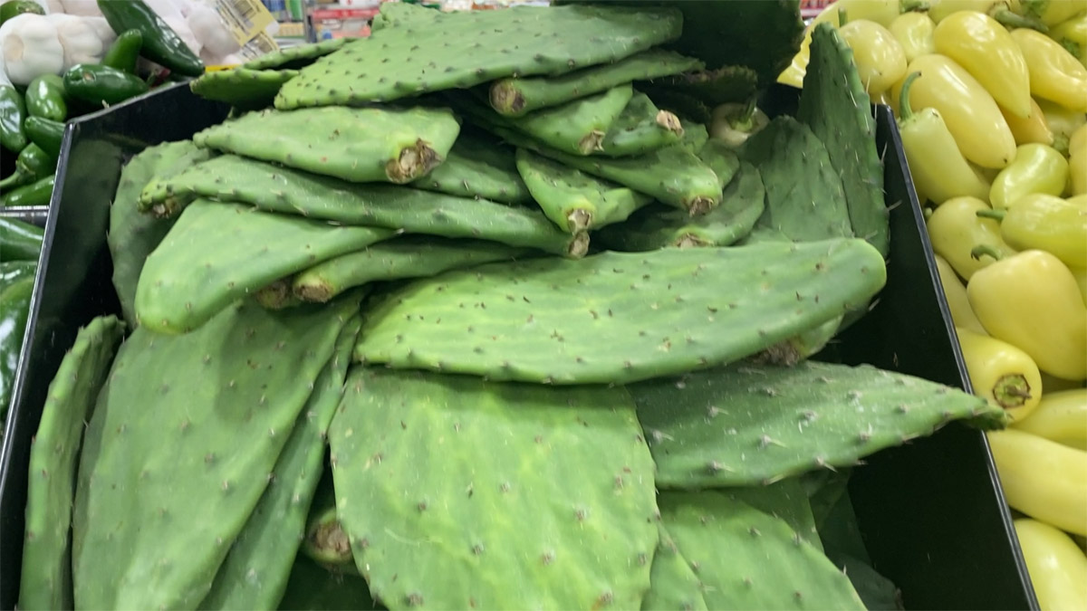 Yes, You Can Cook and Eat Cactus!  I Want To Cook